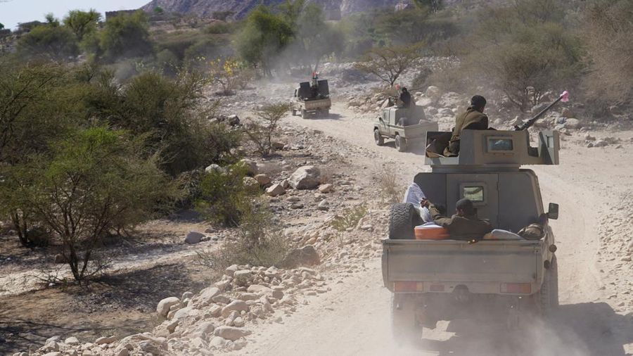 Kronologi Perang Baru di Yaman, Sekutu Negara Arab Terbelah