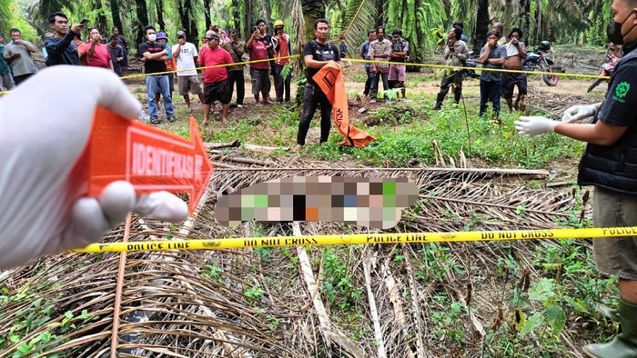Misteri Kelam! Siswa SMK Lampung Ditemukan Tewas Membusuk di Kebun Sawit"
