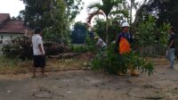 5407d395-d137-4e60-b5fe-37ba8ba7636c Wujudkan Kawasan Bersih, Rapi dan Nyaman, Pemerintah Kota Tanjungbalai Bersihkan Gedung Serbaguna
