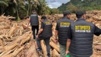 Bareskrim Segera Tetapkan Tersangka Kasus Kayu Gelondongan di Banjir Sumut