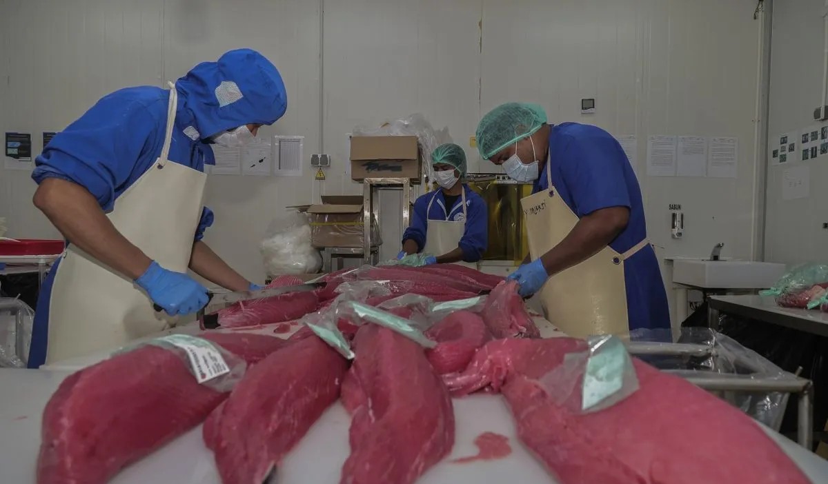 Ekspor Perikanan RI ke Taiwan dan Korsel Terus Meningkat