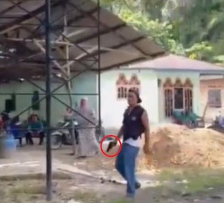Viral! Kades di Paluta Sumut Diduga Todongkan Pistol ke Warga Gara-Gara Kebun Sawit