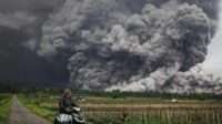 Semeru Meletus, Awan Panas Capai 6 Km