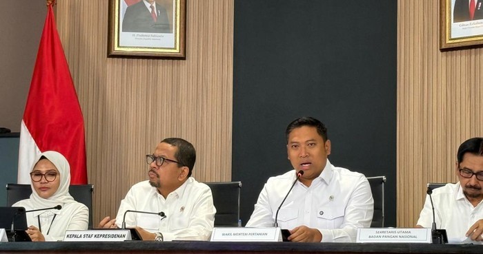 RI Surplus Beras, Ekspor ke Saudi