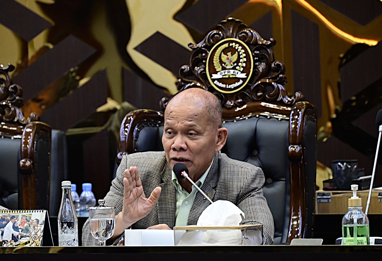 DPR Minta Perbedaan RUU Satu Data dan Statistik Diperjelas