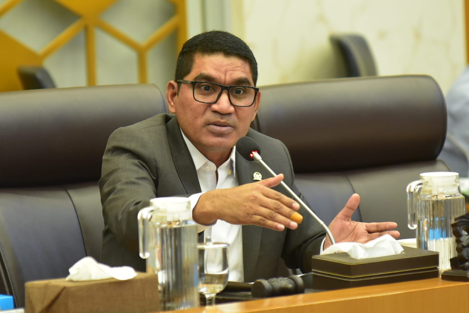 Komisi IV Dorong Keseimbangan Konservasi dan Ekonomi di Komodo