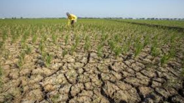 Super El Nino, Pakar Wanti-wanti Karhutla Besar