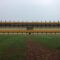 Stadion Mahakam Depok Ditutup 30 Hari untuk Pemeliharaan