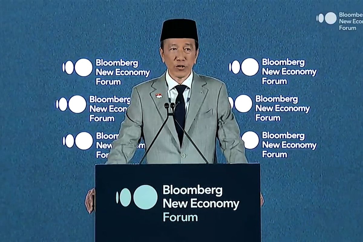 Sekjen Projo: Jokowi Bukan Milik Partai