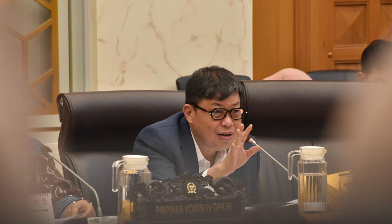 Alex Ingatkan Kemenkeu Penyelesaian Penanganan Hutan Pascabencana Sangat Mendesak