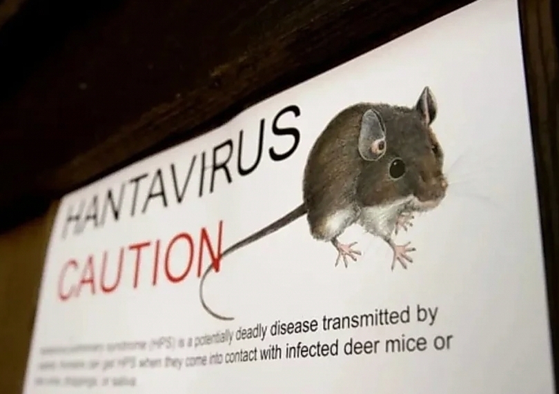 UE Tegaskan Risiko Hantavirus Rendah