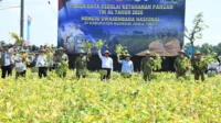 TNI Manfaatkan Lahan Tidur untuk Kedelai