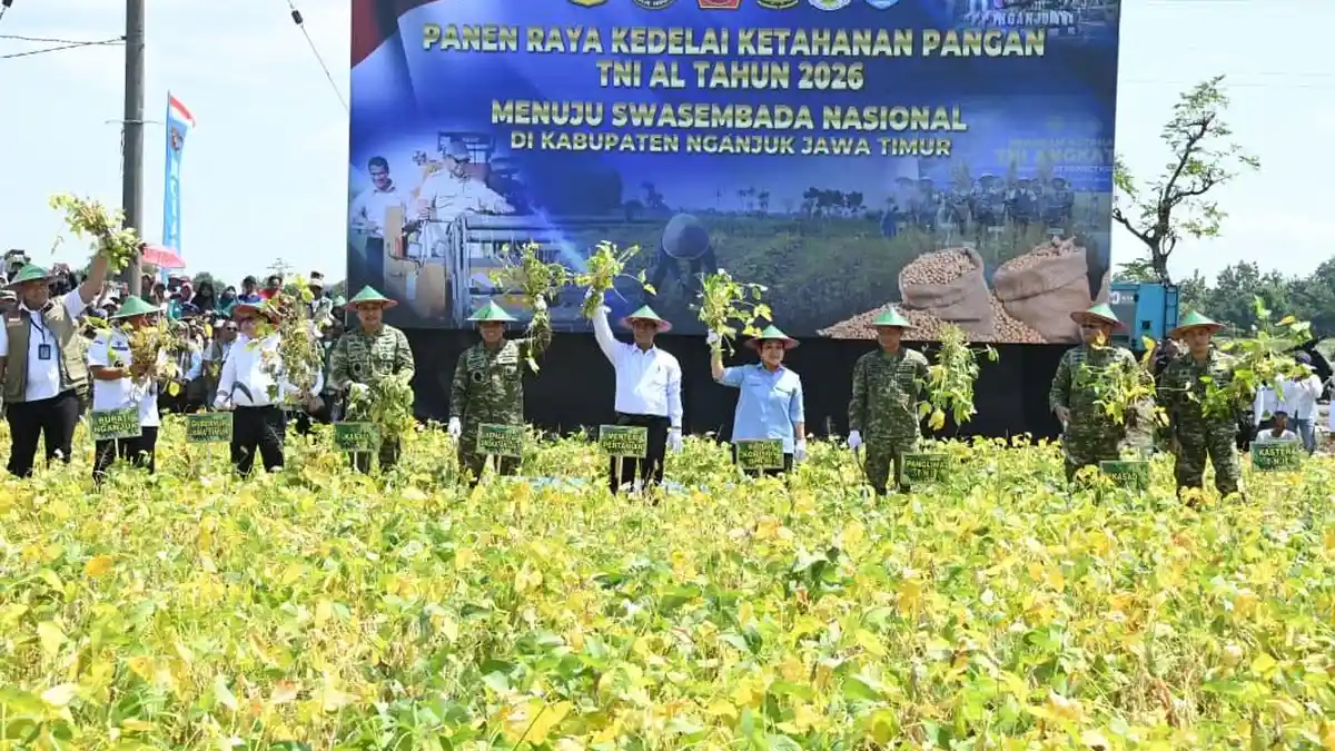 TNI Manfaatkan Lahan Tidur untuk Kedelai
