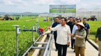 Prabowo Puji Inovasi Pertanian, Berkelakar Bisa Ditiru Negara Lain
