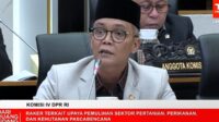 RUU Daerah Kepulauan Lanjut, DPR-DPD-Pemerintah Susun DIM