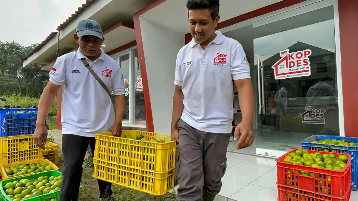 Ombudsman Ingatkan Risiko Maladministrasi di Koperasi Merah Putih