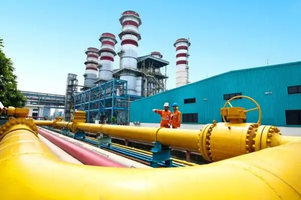 Hari Ini Pemerintah Umumkan Penurunan Harga Gas Industri