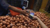 SPPG Jadi Offtaker, Harga Telur Jatim Lebih Stabil