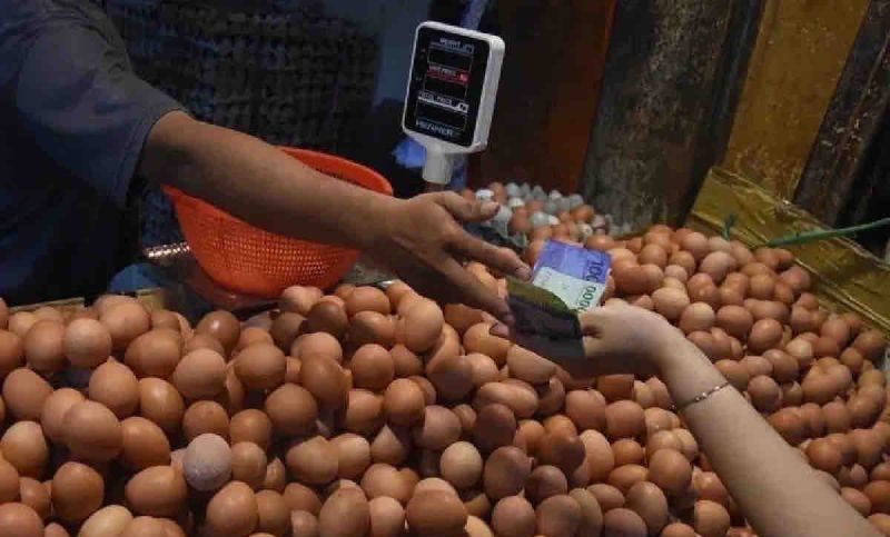 SPPG Jadi Offtaker, Harga Telur Jatim Lebih Stabil