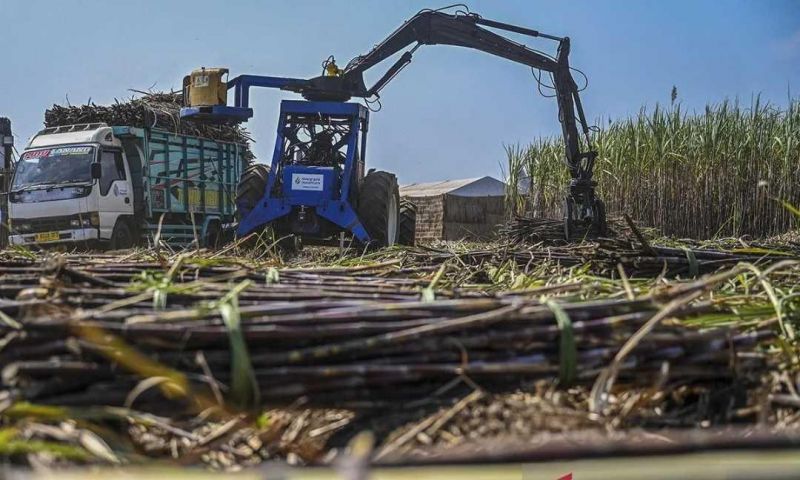E10 Dinilai Bisa Kurangi Impor BBM