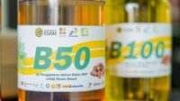 Ekonom: B50 Buka Jalan Hilirisasi Sawit
