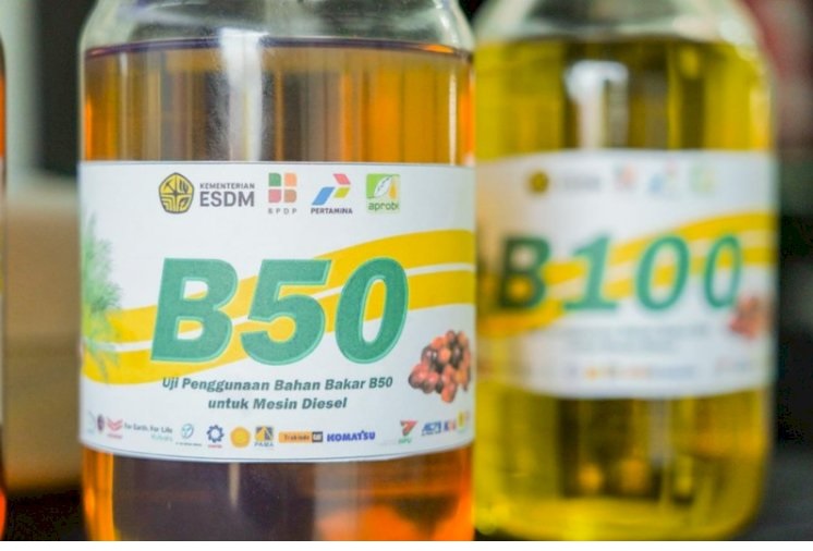 Ekonom: B50 Buka Jalan Hilirisasi Sawit