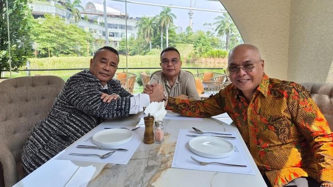 Dasco  : Damai dengan PWI, Laporan Polisi terhadap Hotman Paris Segera Dicabut