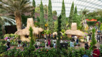 Pesona Nusantara Hadir di Flower Dome Singapura