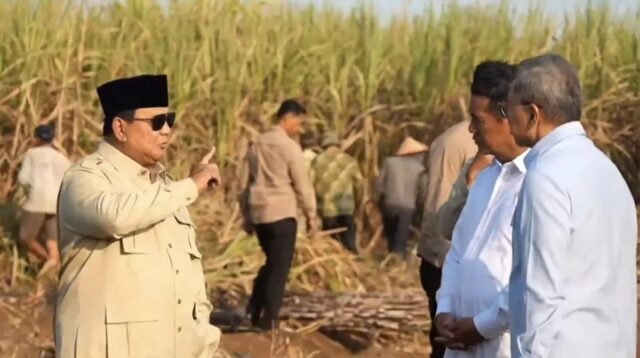 Dihadapan Petani, Prabowo Targetkan Peremajaan Tebu Rampung Dua Tahun