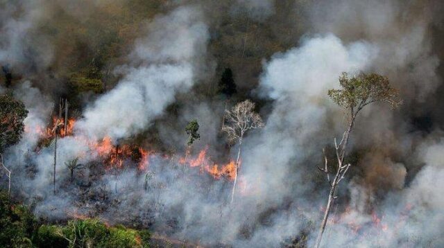 Sahroni Desak Pembakar Lahan di Kalsel Dihukum Berat