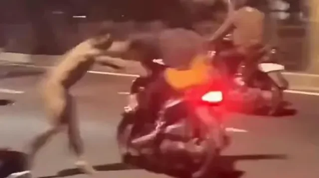 Pria Bugil Pemukul Pemotor di Lenteng Agung Diamankan Polisi