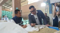 Bulog Perketat Mutu Beras, Mitra Penggilingan Diminta Tingkatkan Standar