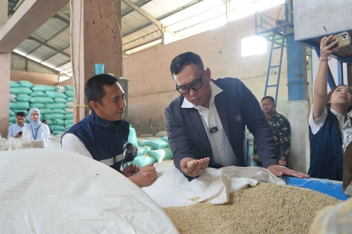 Bulog Perketat Mutu Beras, Mitra Penggilingan Diminta Tingkatkan Standar