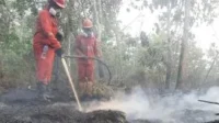 Operasi Darat Jadi Ujung Tombak Penanganan Karhutla