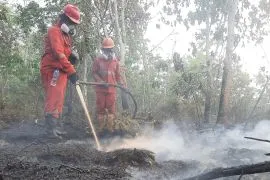 Operasi Darat Jadi Ujung Tombak Penanganan Karhutla