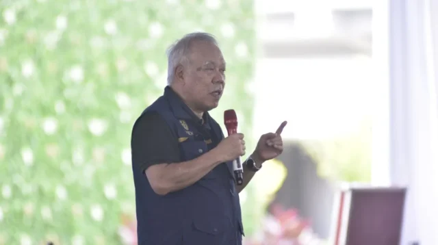 IKN Disiapkan Jadi Percontohan Rehabilitasi Mangrove Nasional