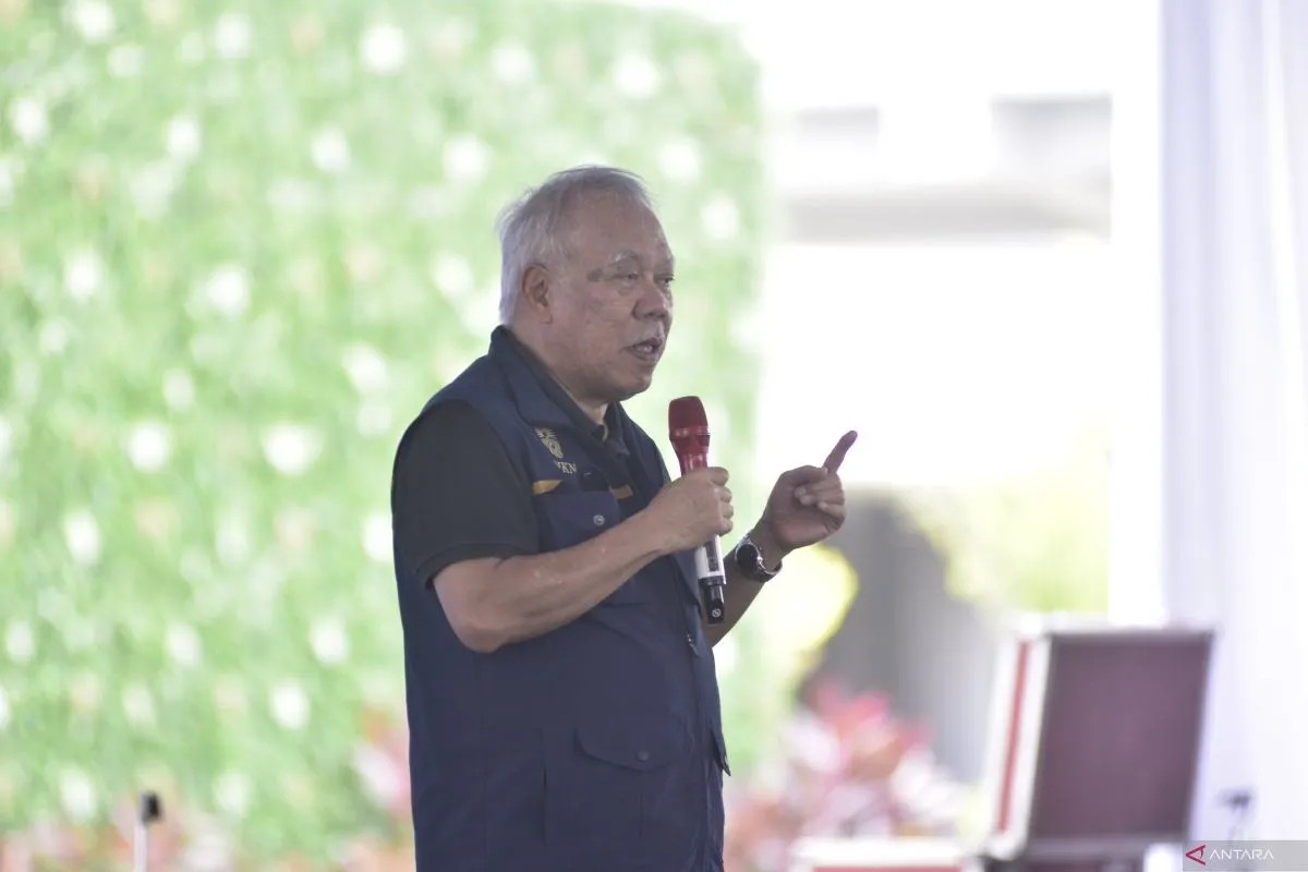 IKN Disiapkan Jadi Percontohan Rehabilitasi Mangrove Nasional
