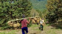 Ading Suhana Selamatkan Hutan Lewat Kebun Durian