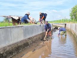 Rehabilitasi Sungai dan Irigasi Sumatera Dipercepat Pascabencana