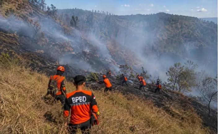 Karhutla Belum Reda, Penutupan Wisata Bromo Diperpanjang