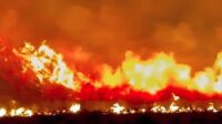 Kebakaran Bromo Meluas, 520 Hektare Terbakar