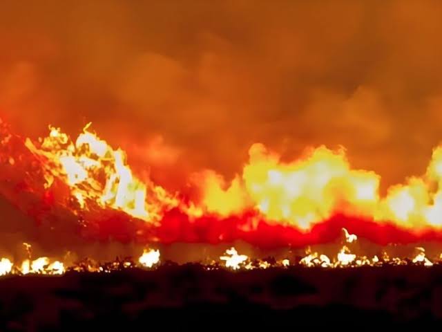 Kebakaran Bromo Meluas, 520 Hektare Terbakar