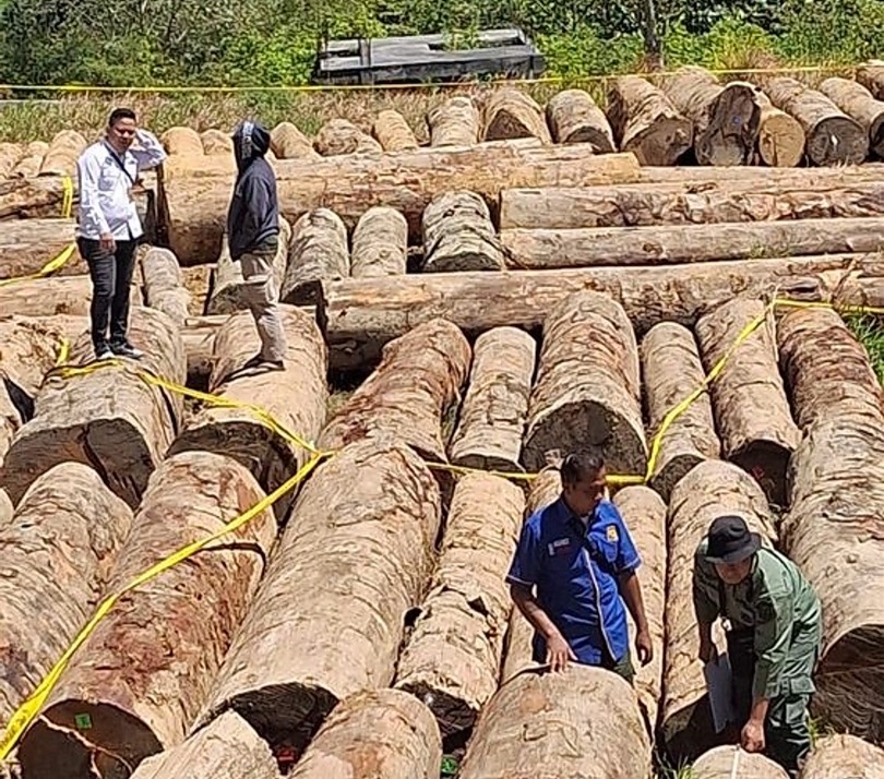 Kemenhut Bongkar Pembalakan Liar di Solok
