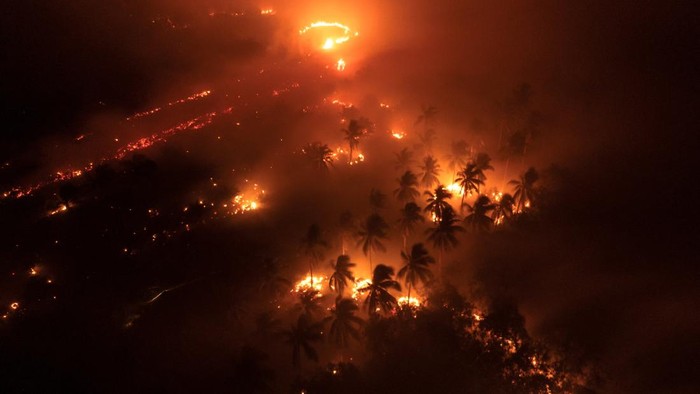 Tiga Heli Jepang Tiba 10 September Bantu Atasi Karhutla