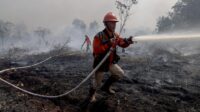 Asap Karhutla Kalimantan Tembus ke Sarawak, Media Malaysia Soroti Dampak
