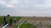 Sawah Bekasi Kekeringan, Tiga Pompa Dikerahkan