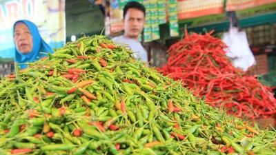 Harga Cabai Meledak, Kementan Singgung Dugaan Spekulan