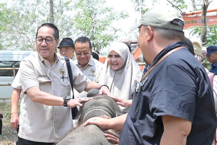 Firman Soebagyo Dorong Deteksi Dini Karhutla Way Kambas