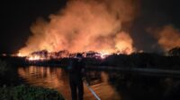 Empat Pemancing Mabuk Picu Kebakaran Dekat Mal 23