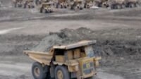 PTBA Rugi Rp 14,5 T Akibat Pasok DMO
